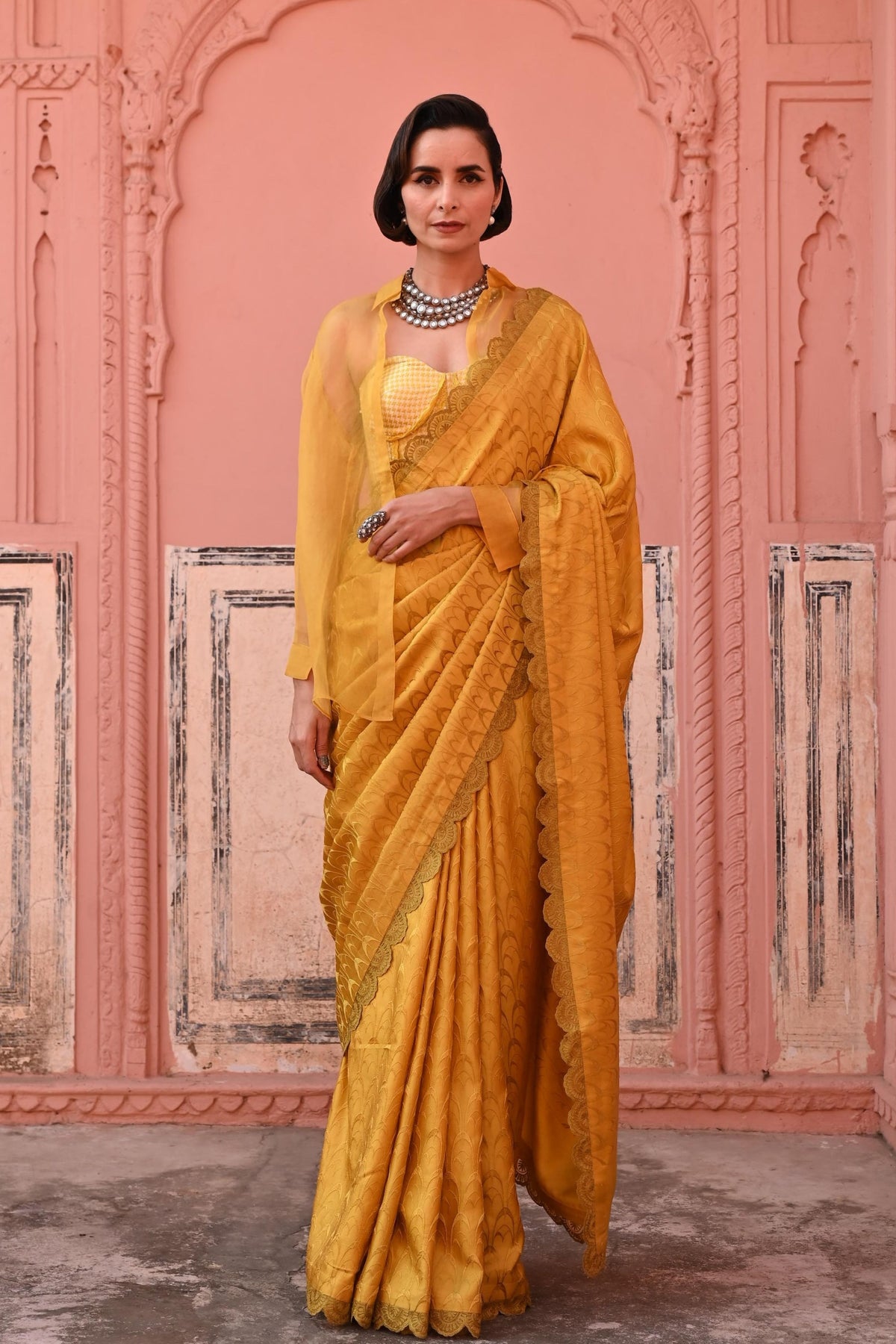 Tanchoi Handloom Saree