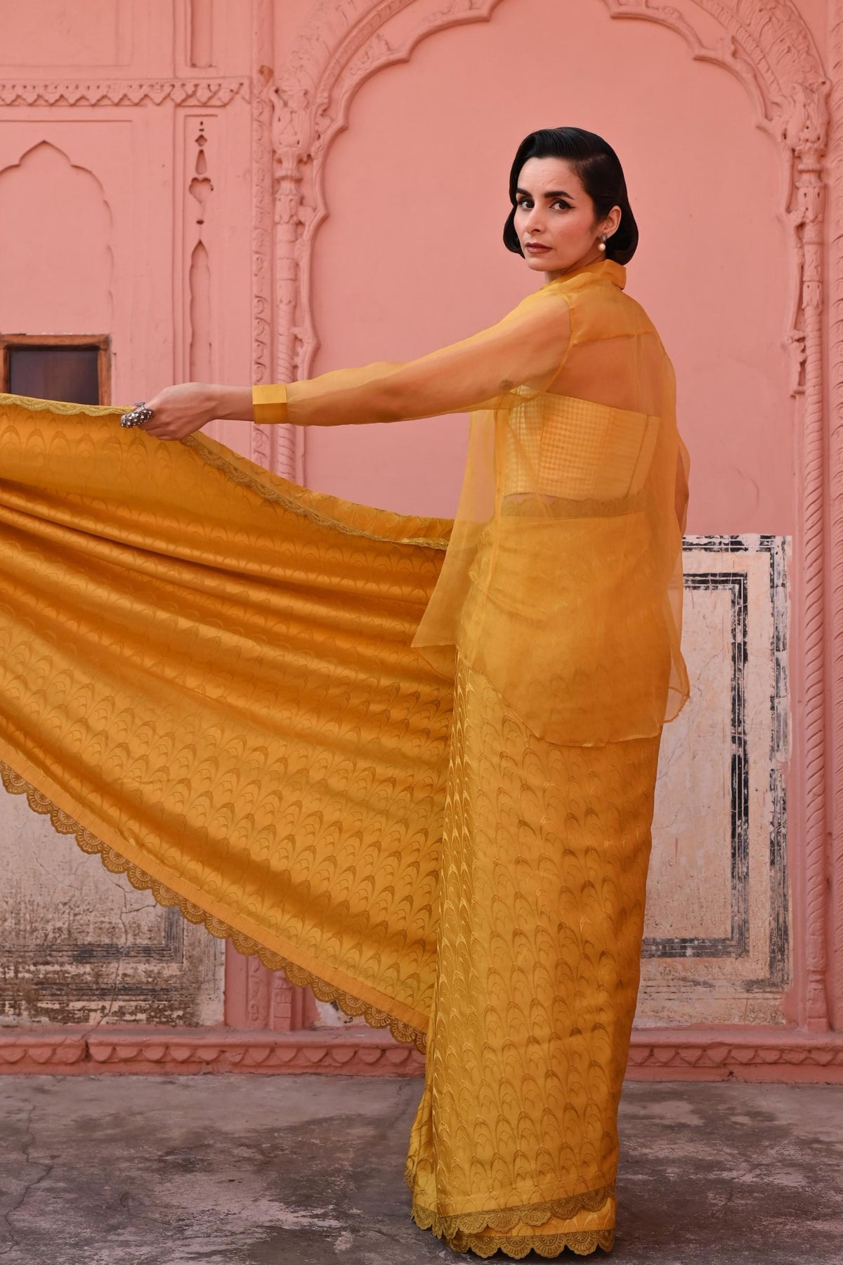 Tanchoi Handloom Saree