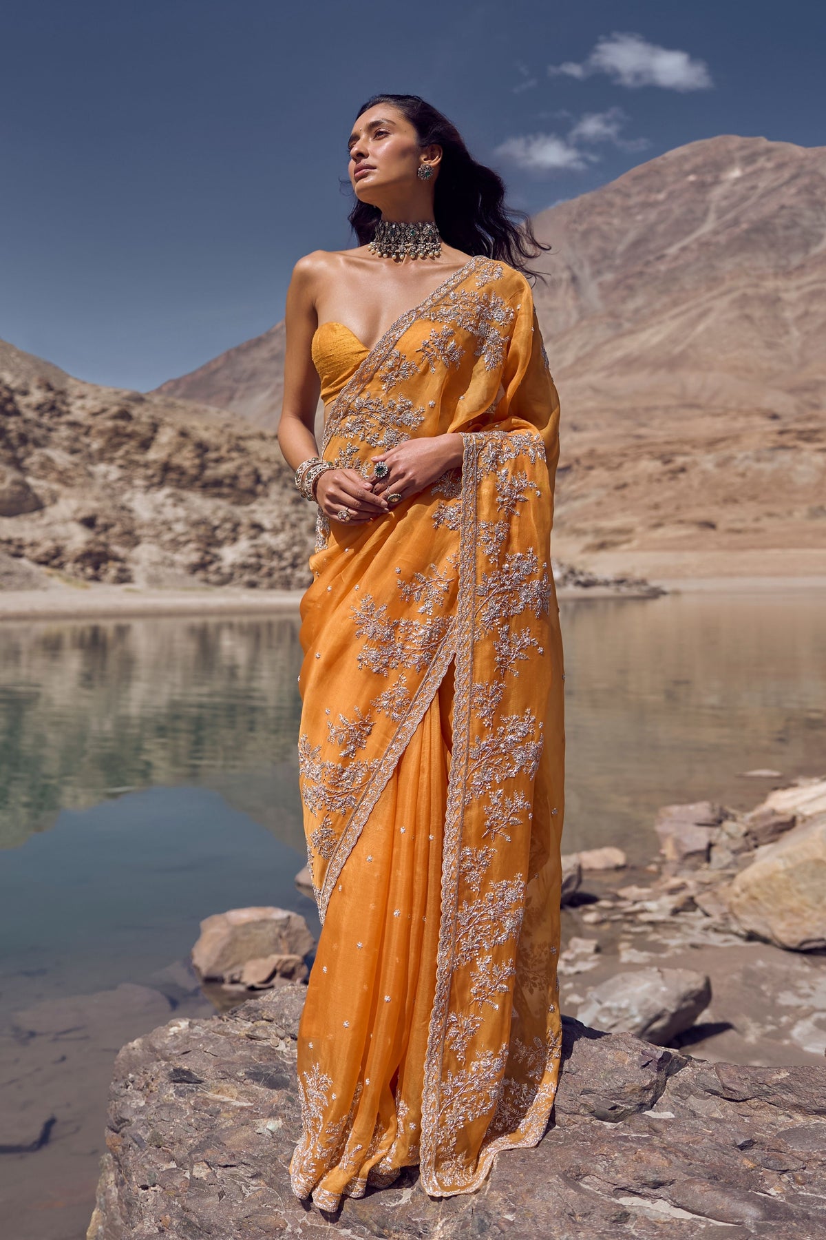 Inayat Orange Saree