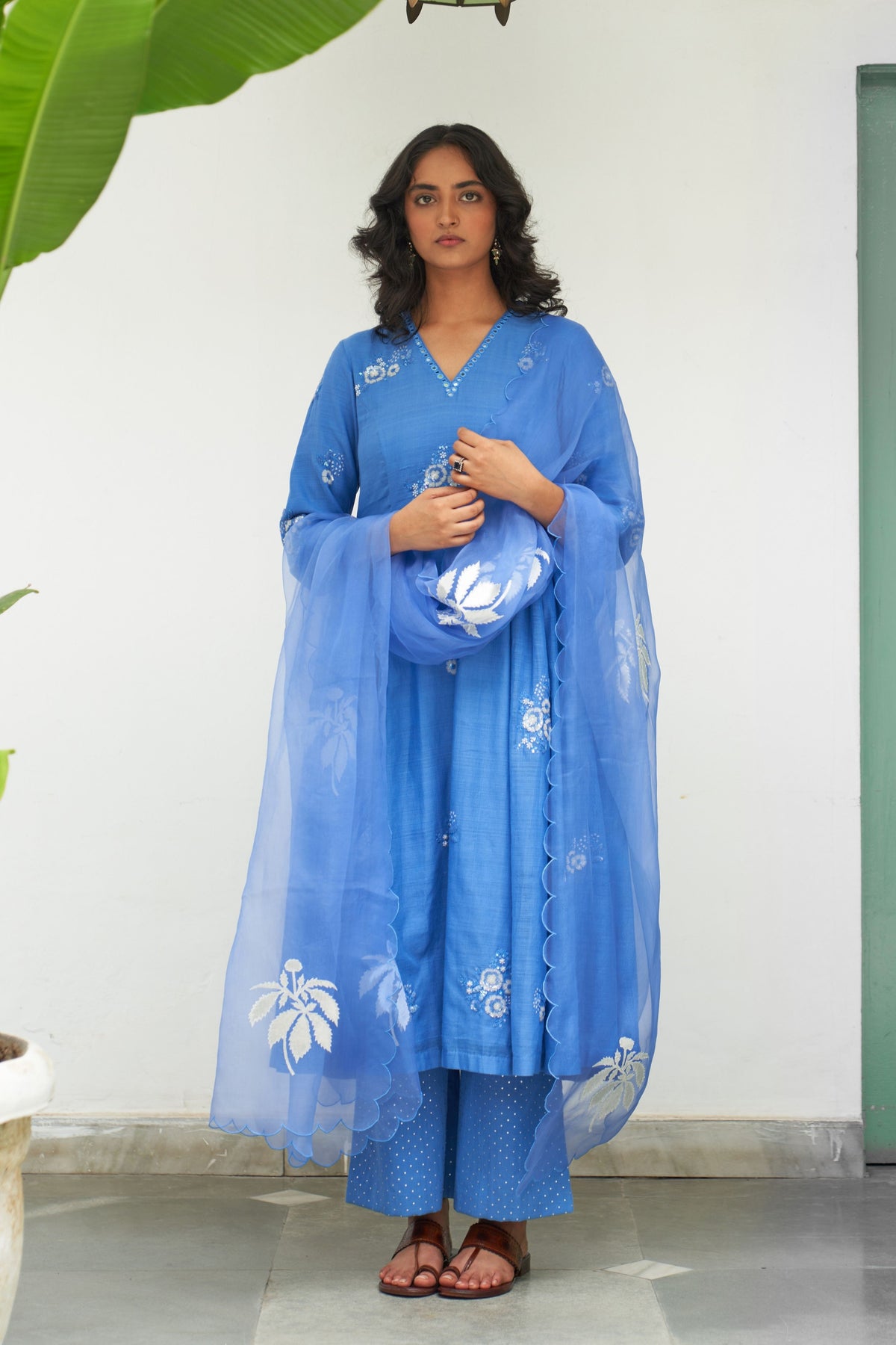 Asmani Sitara Kali Kurta Set