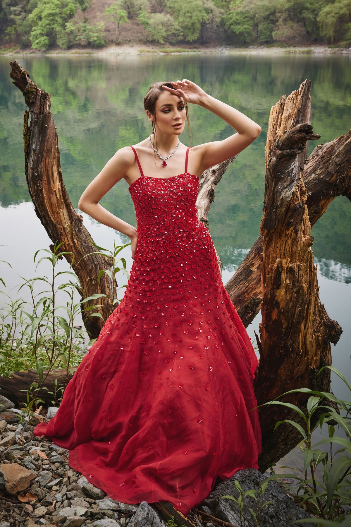 Scarlet Gown
