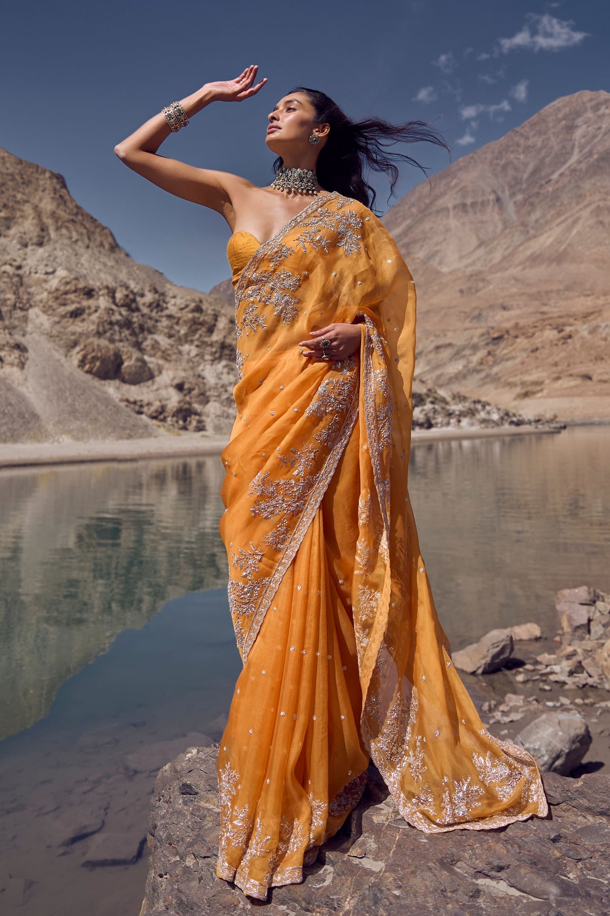 Inayat Orange Saree