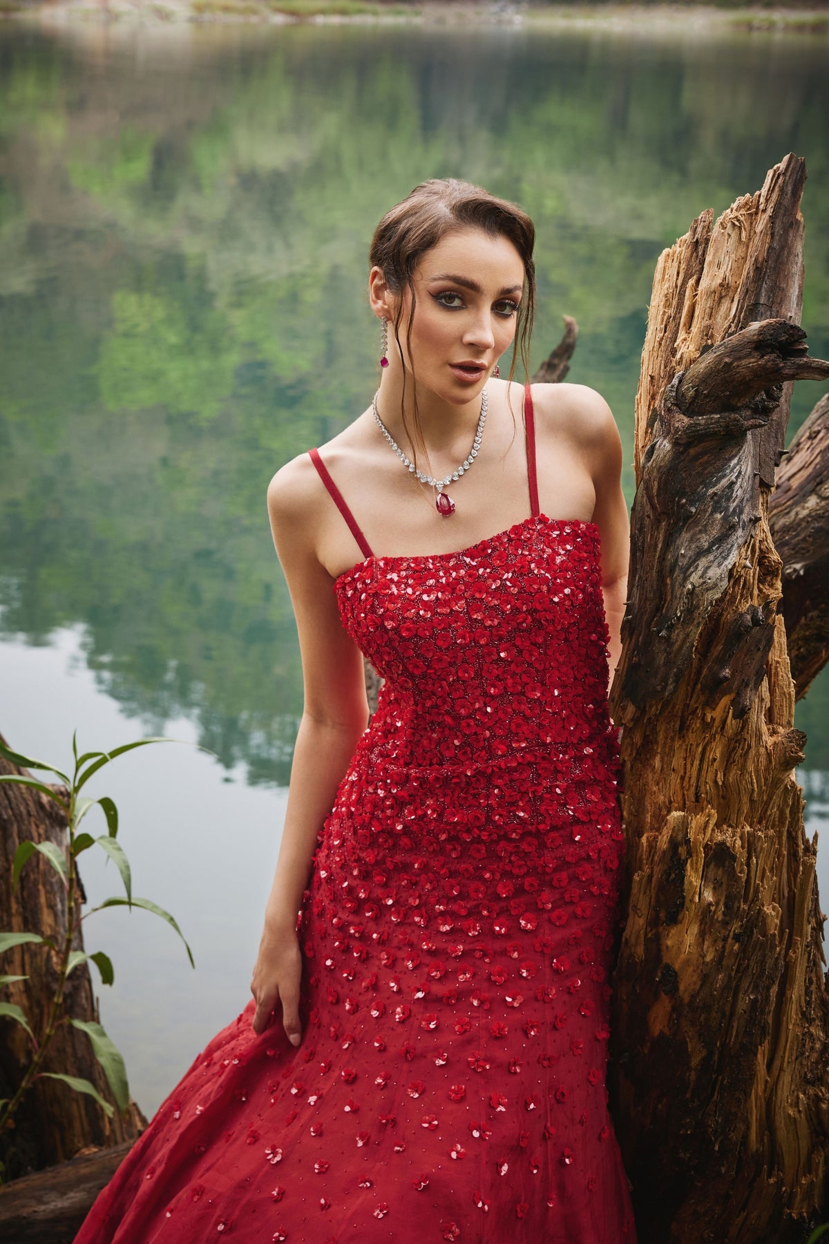 Scarlet Gown