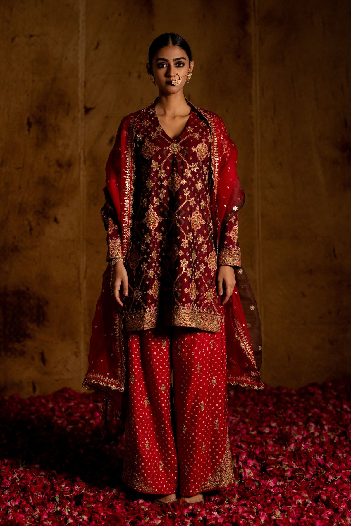 Sunita Patola Bandhani Set