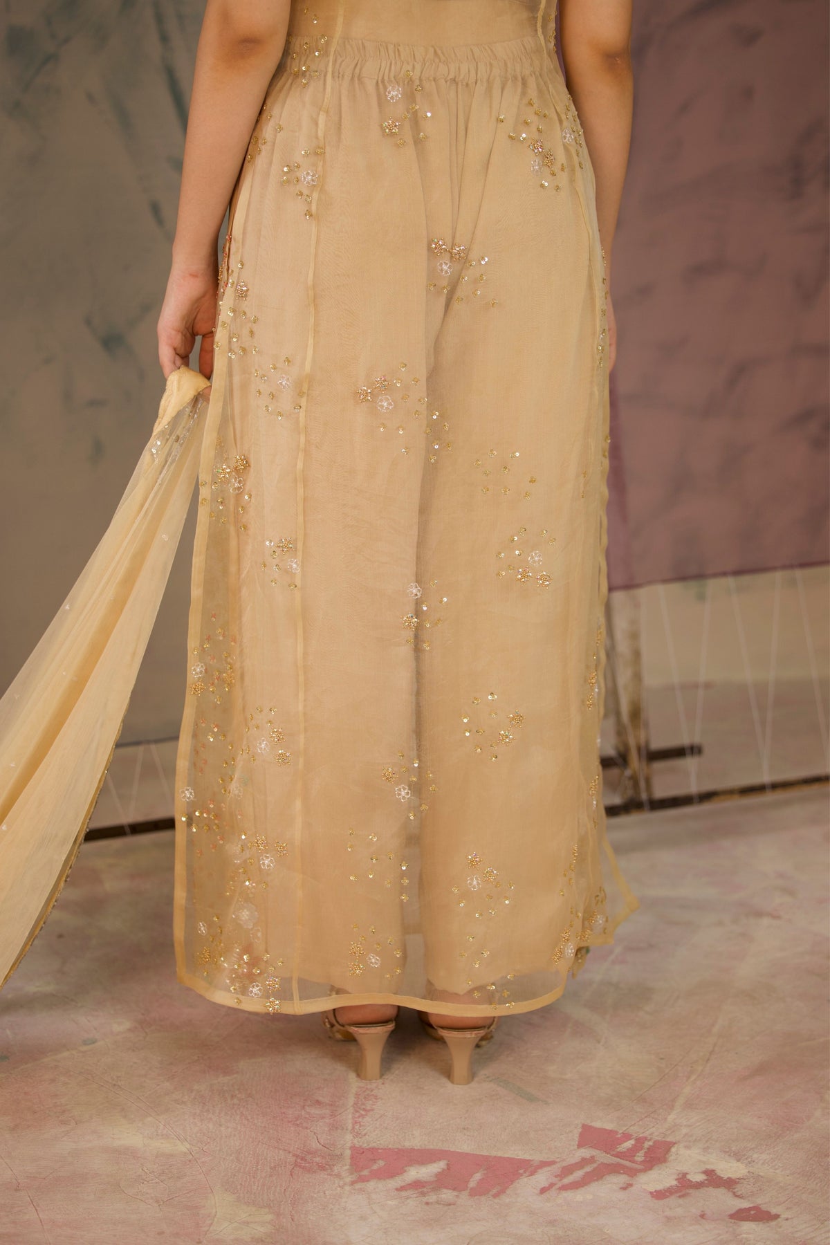 Beige Organza Kurta Set