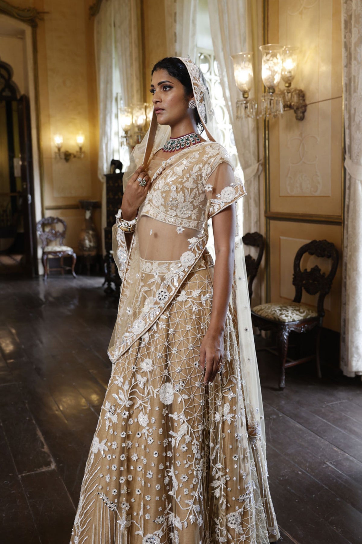 Nude Lehenga With Choli and Dupatta