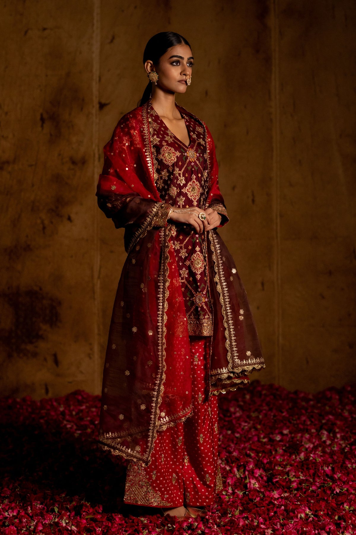 Sunita Patola Bandhani Set