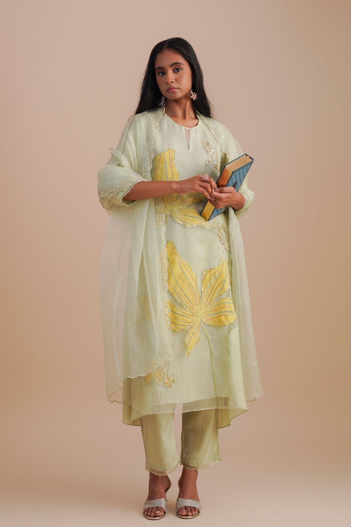 Mist Organza Dupatta