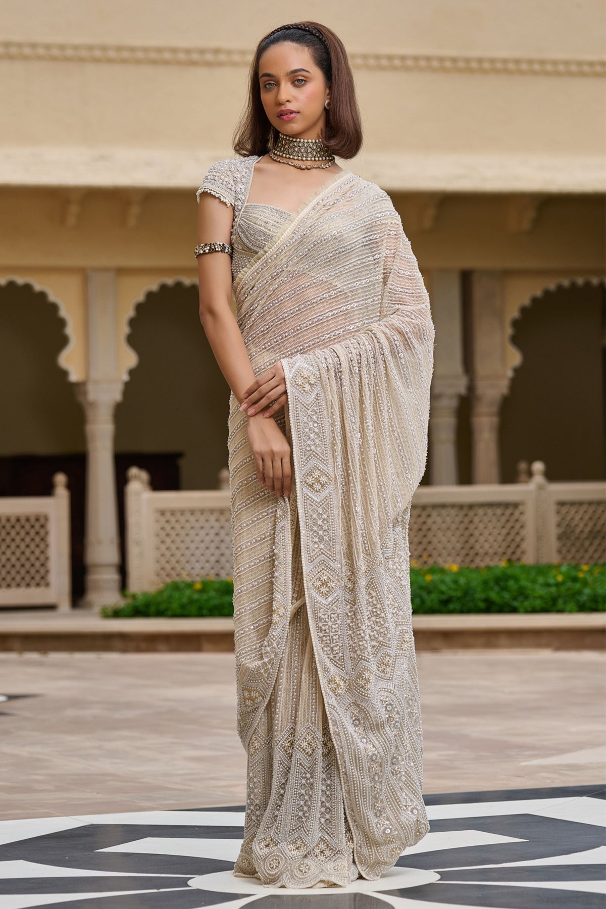 Pearl Embroidered Saree
