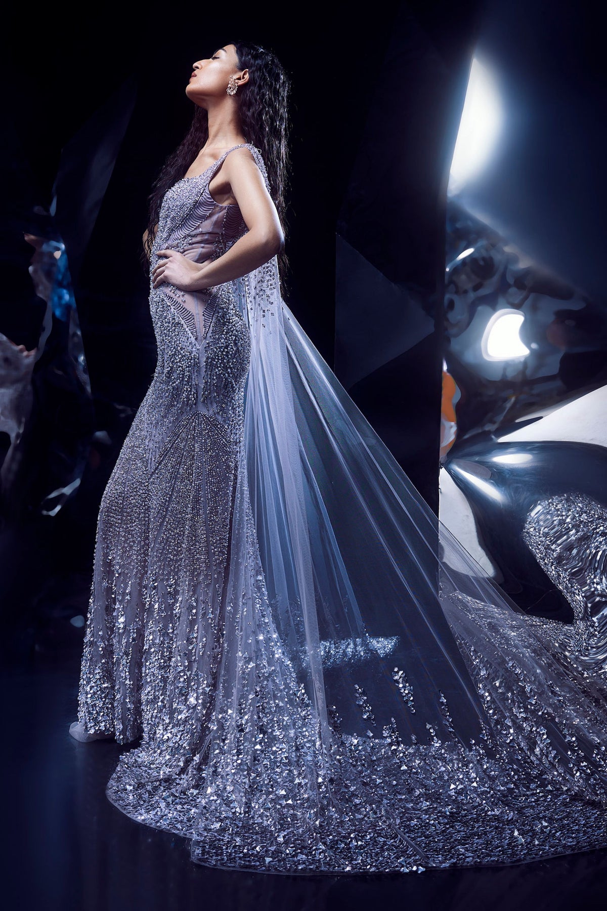 Cassiopeia Rose Steel Gown