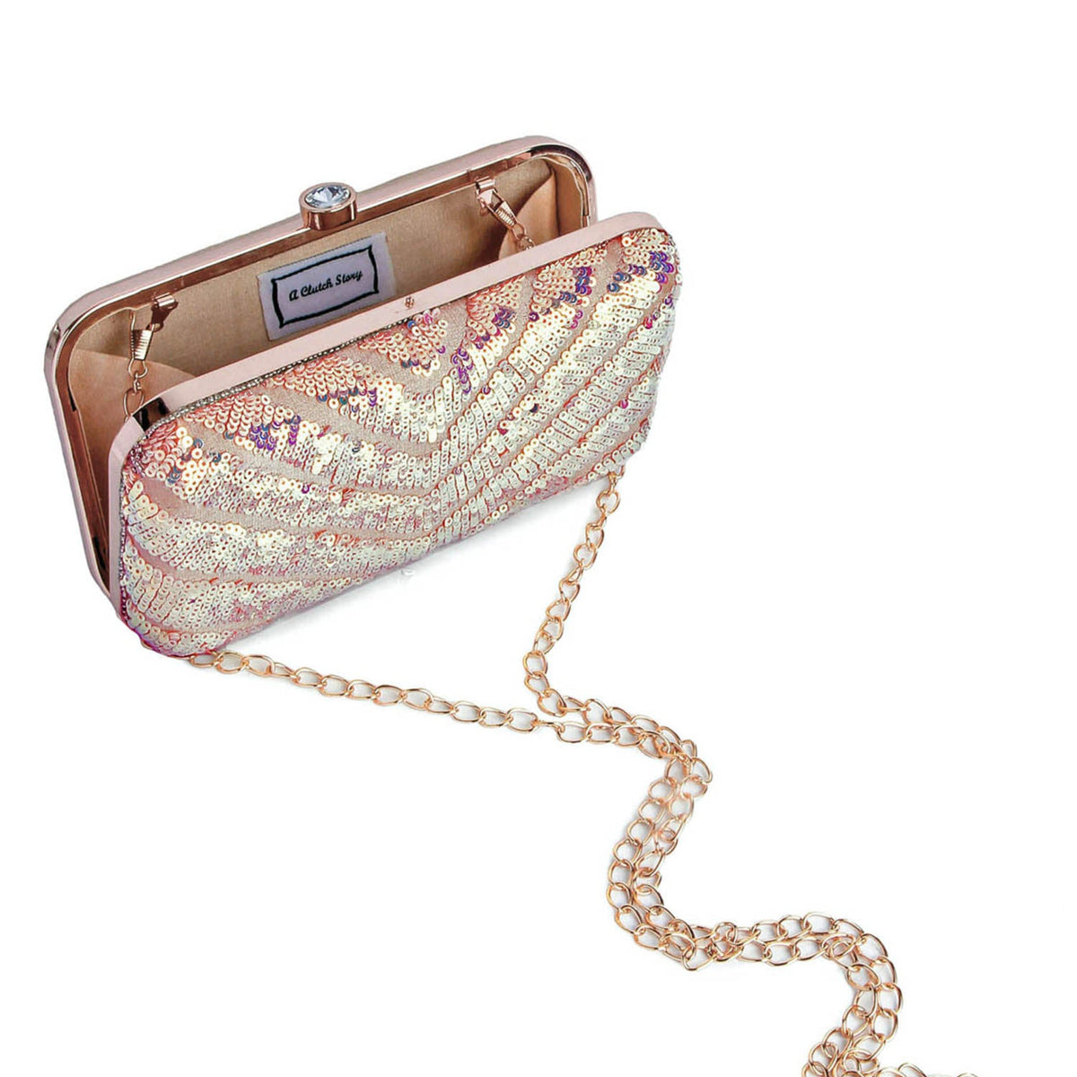 Radiant shimmer handembroidered clutch