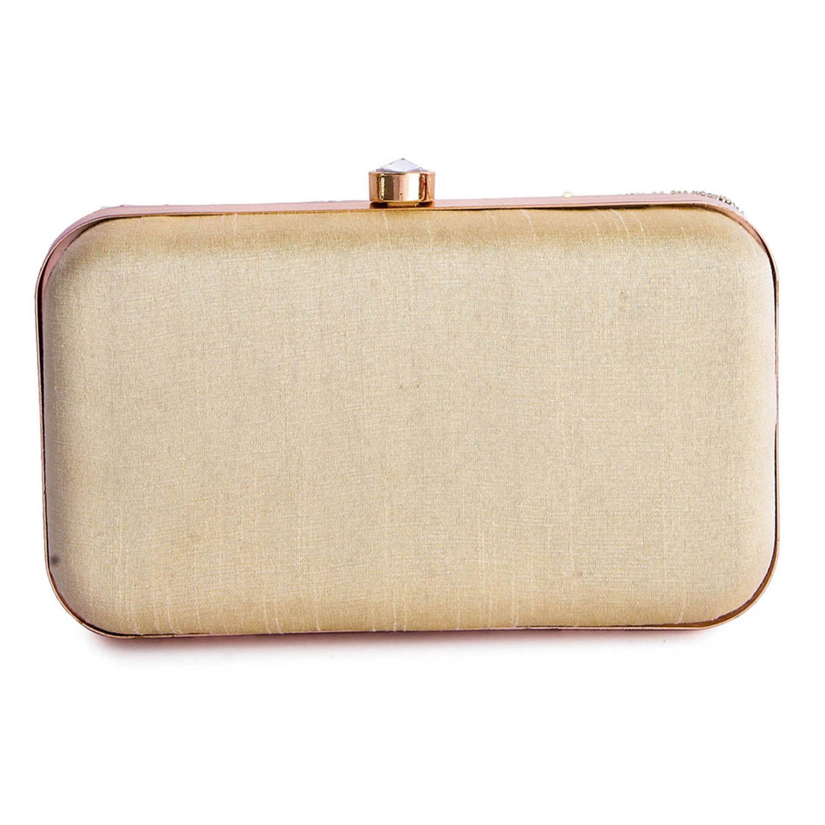 Radiant shimmer handembroidered clutch