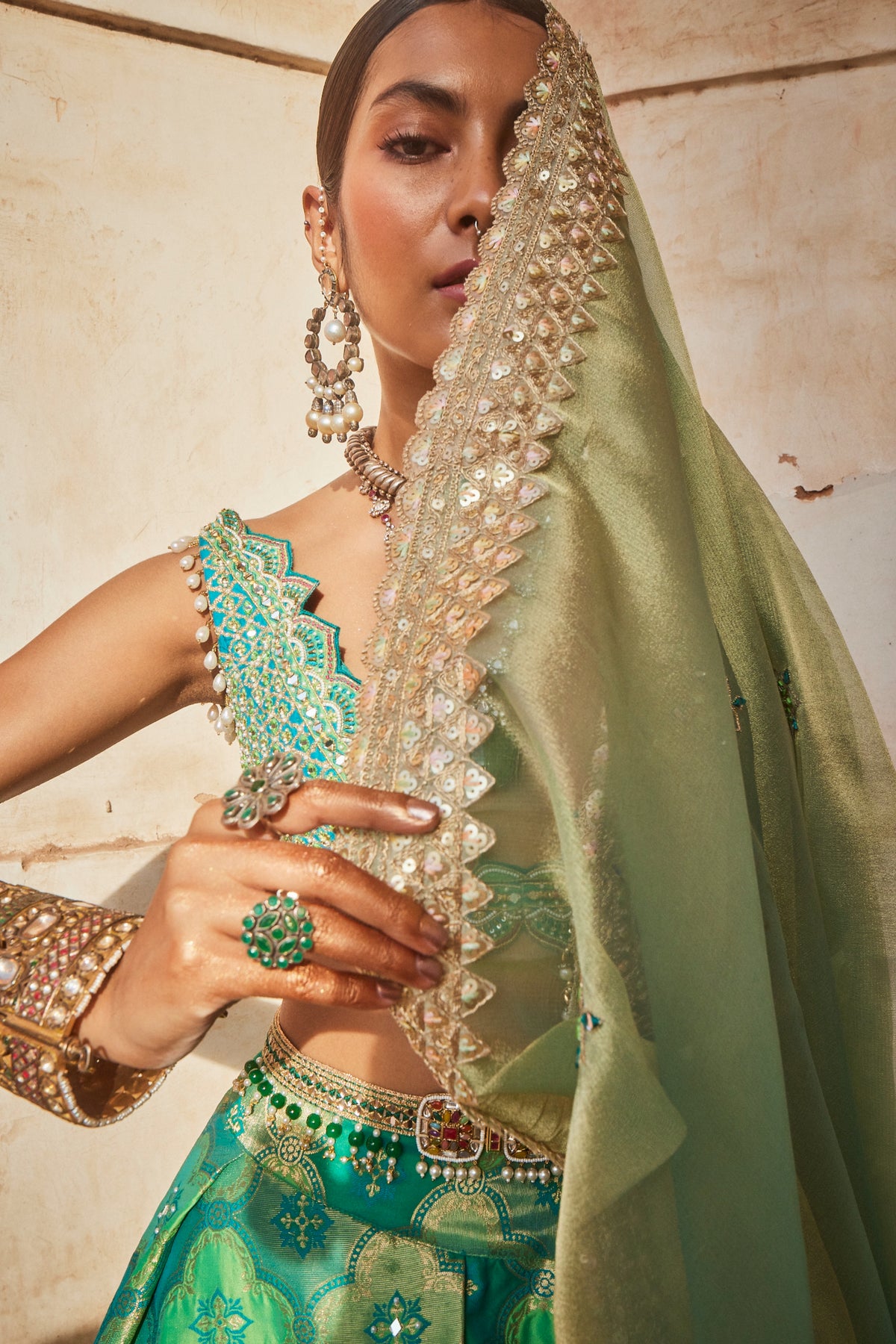 Green Panelled Banarasi Lehenga Set