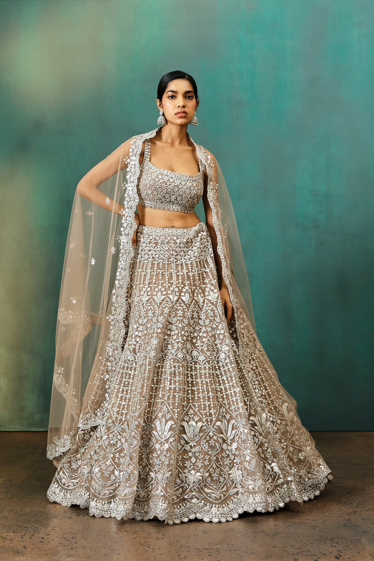 Taupe Net Silver Foil Applique Lehenga Set