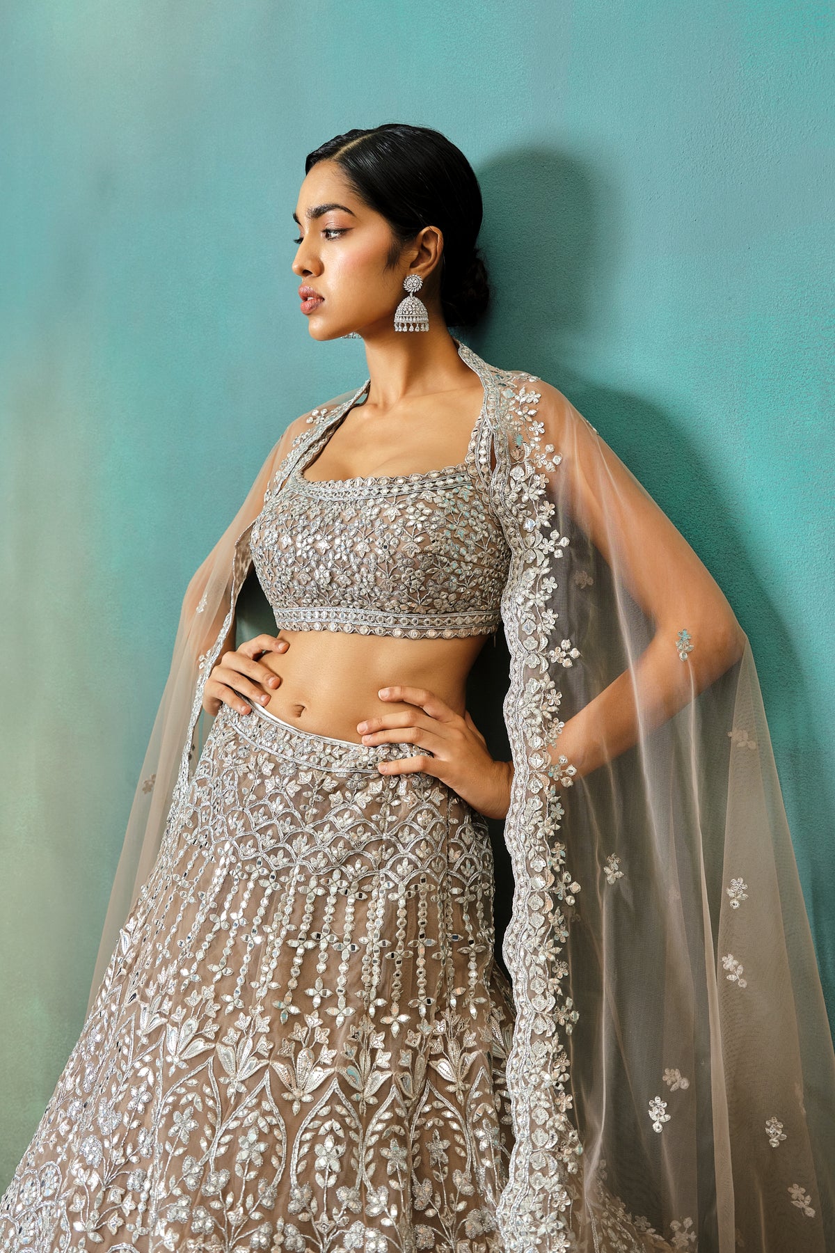 Taupe Net Silver Foil Applique Lehenga Set