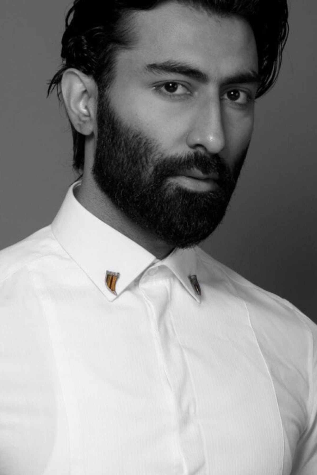Tiger Eye Collar Tips