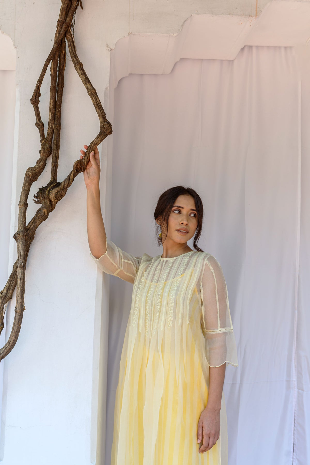 Box Pleated Hand Embroidered Silk Organza Dress