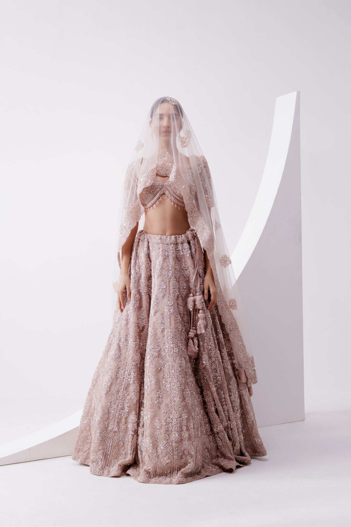 Organza Tissue Embroidered Lehenga