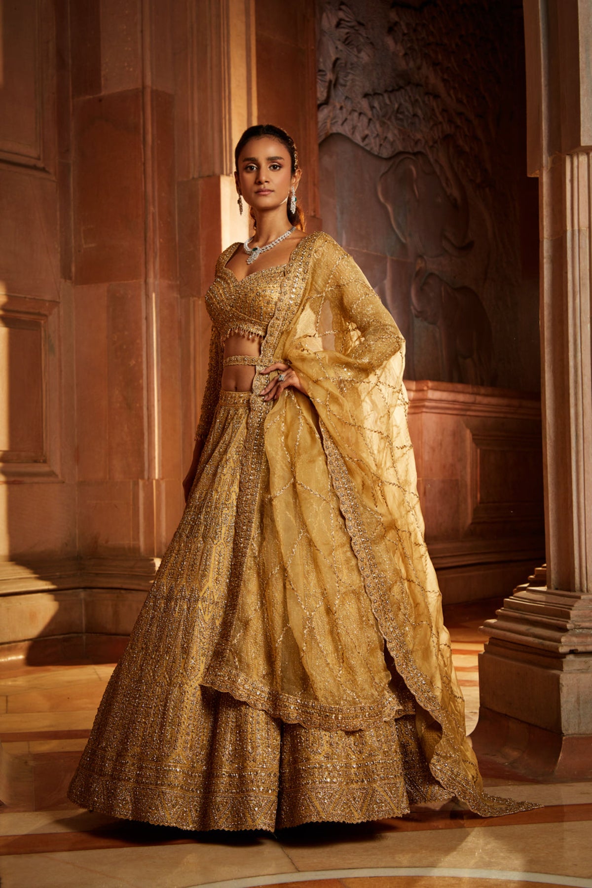 Gold Organza Lehenga Choli Set