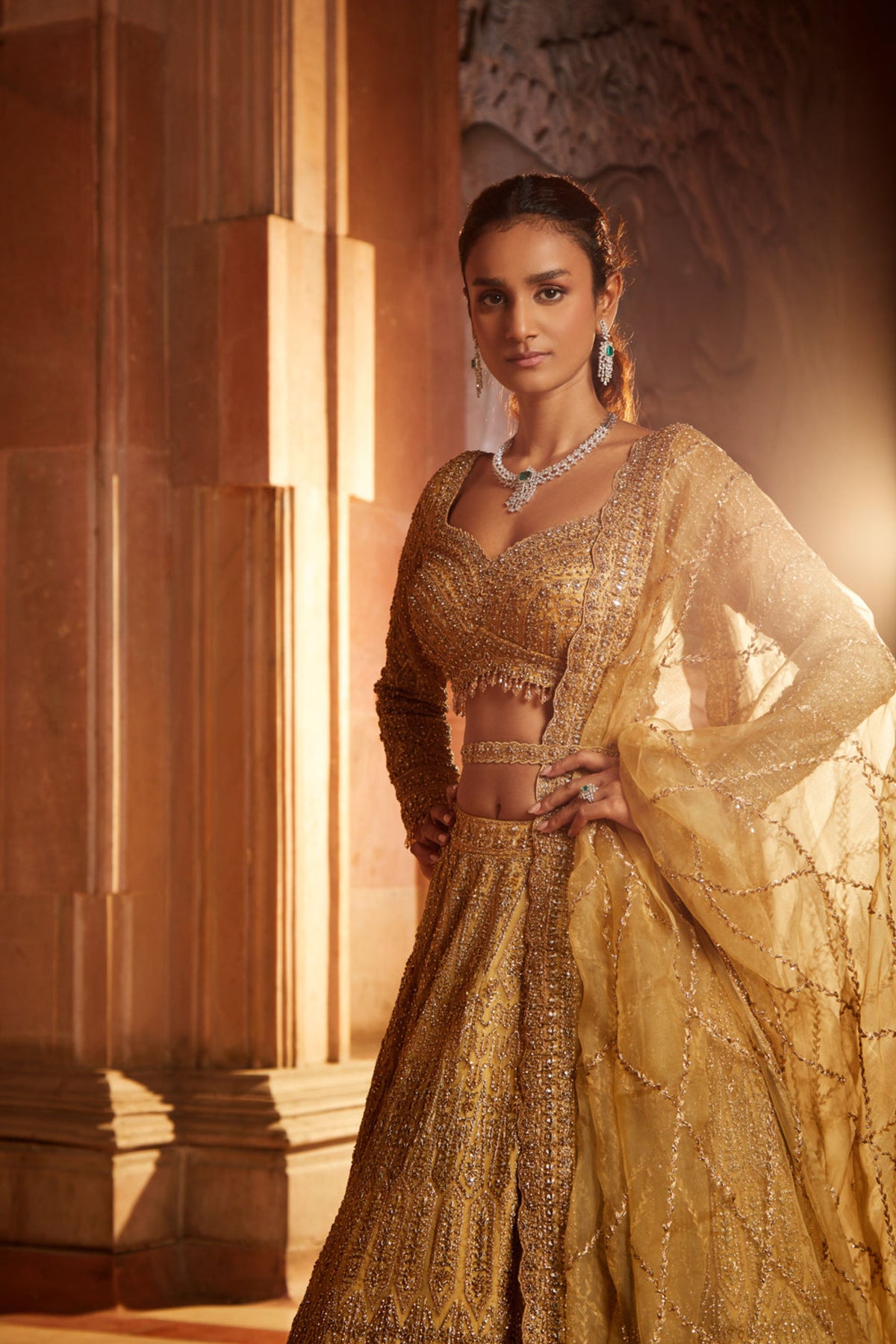 Gold Organza Lehenga Choli Set