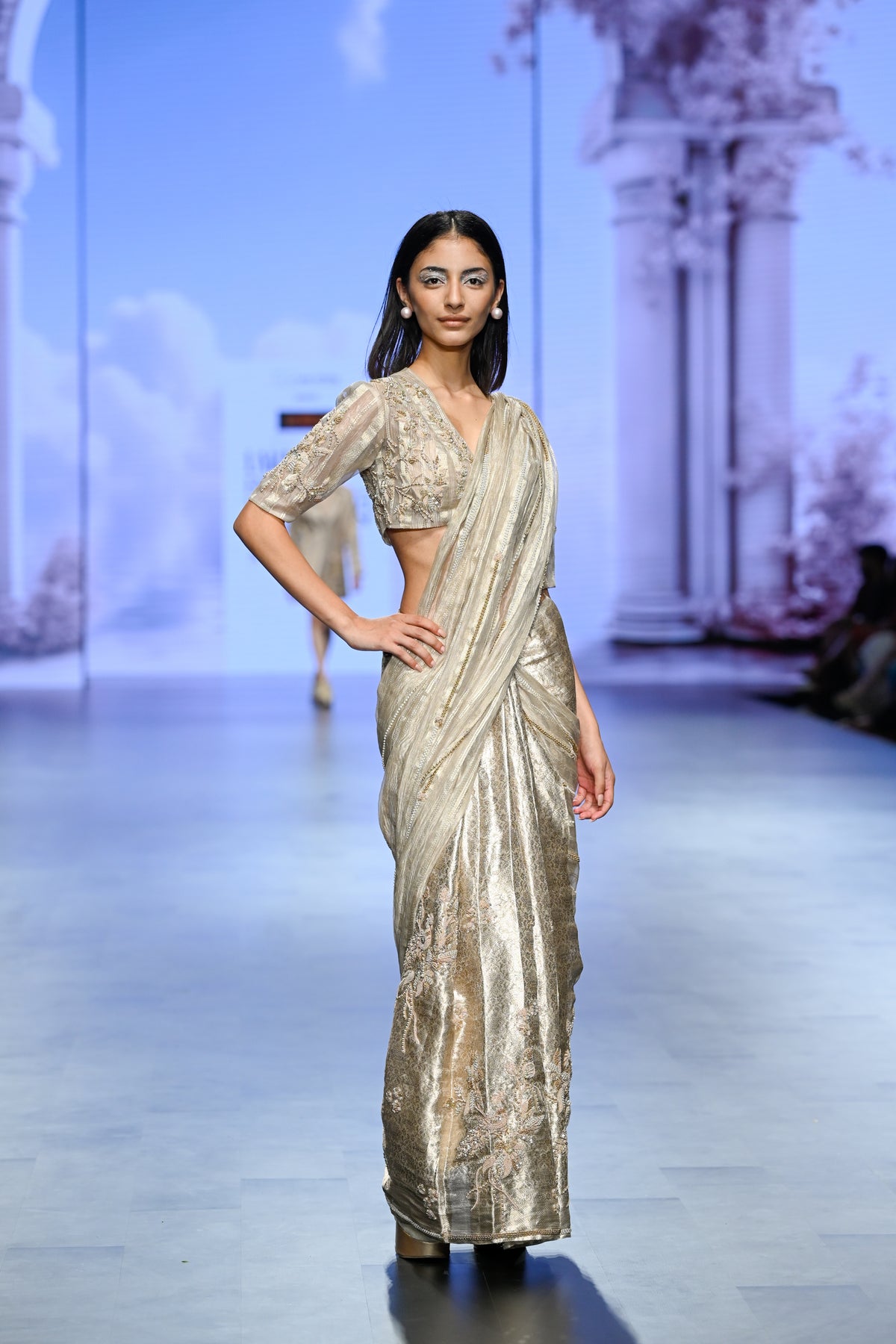 A Stunning Beige Saree