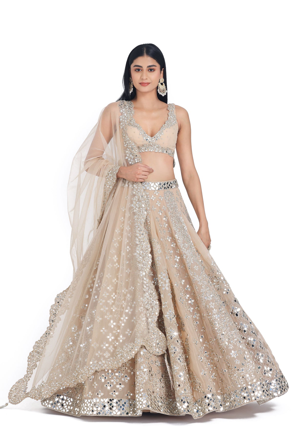 Blush Beige Lehenga Set