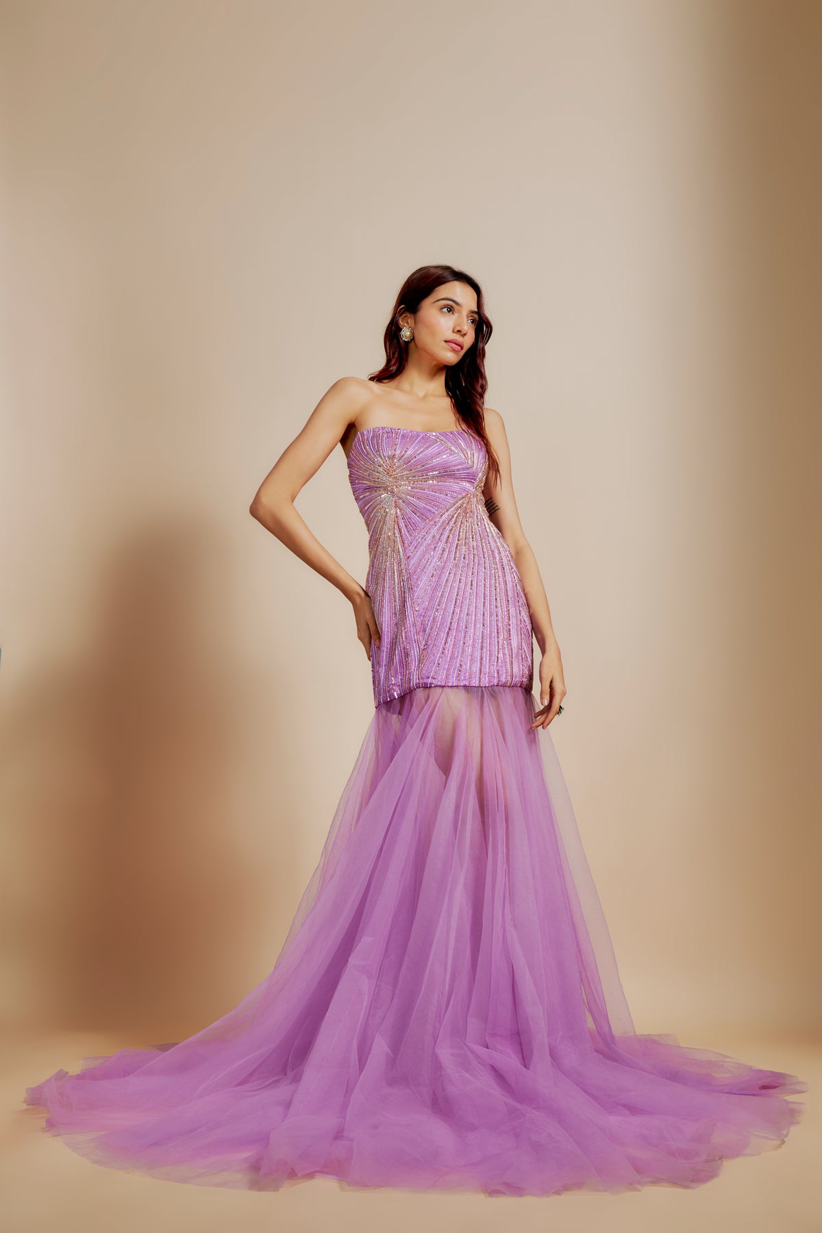 Purple Embroidered Gown