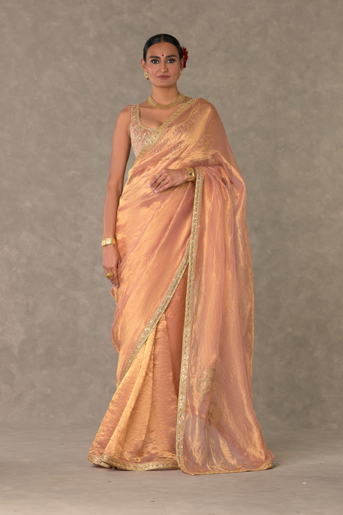 Shahi Tukda Tissue Saree