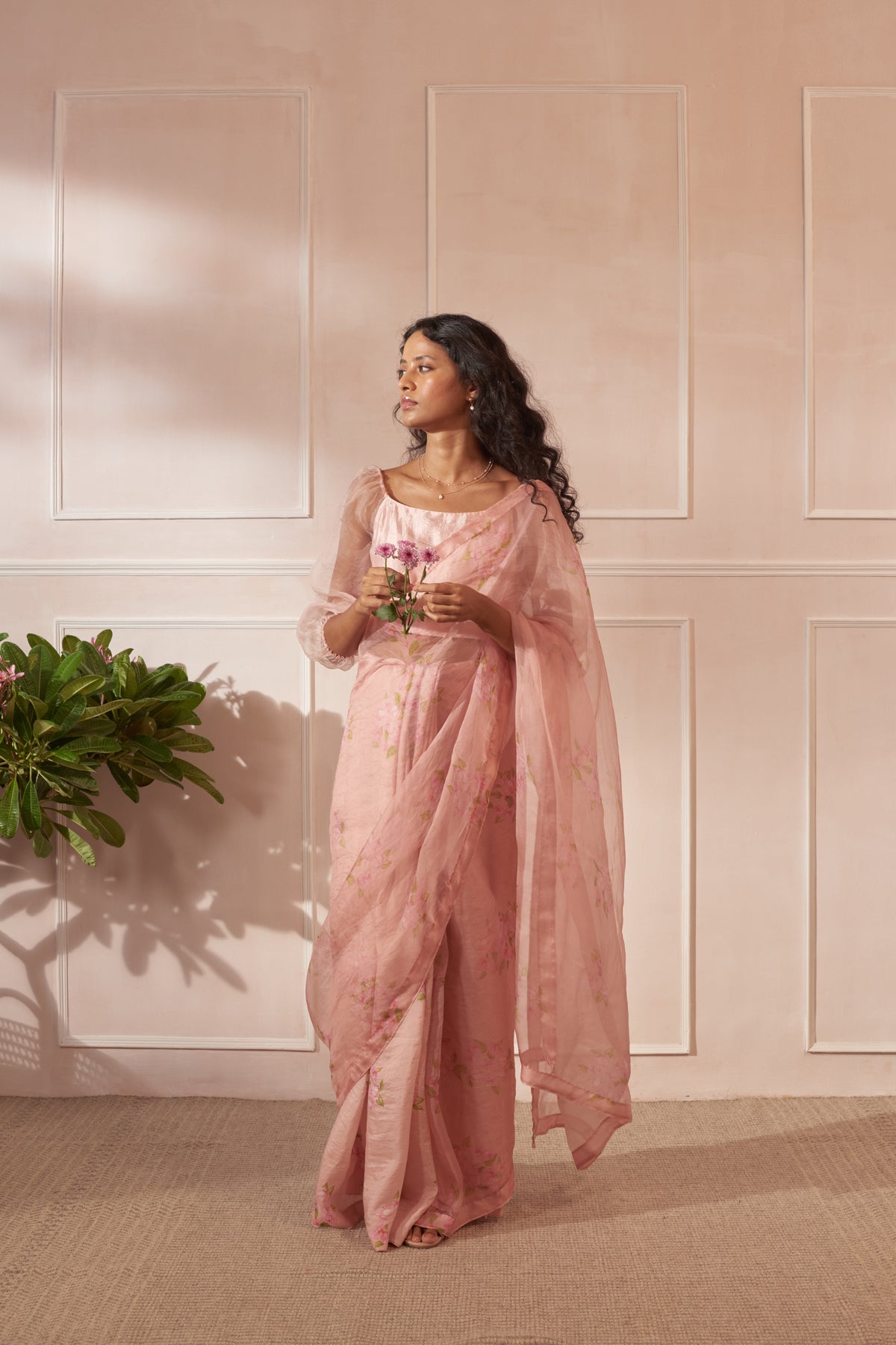 Mulberry silk &amp; organza sari