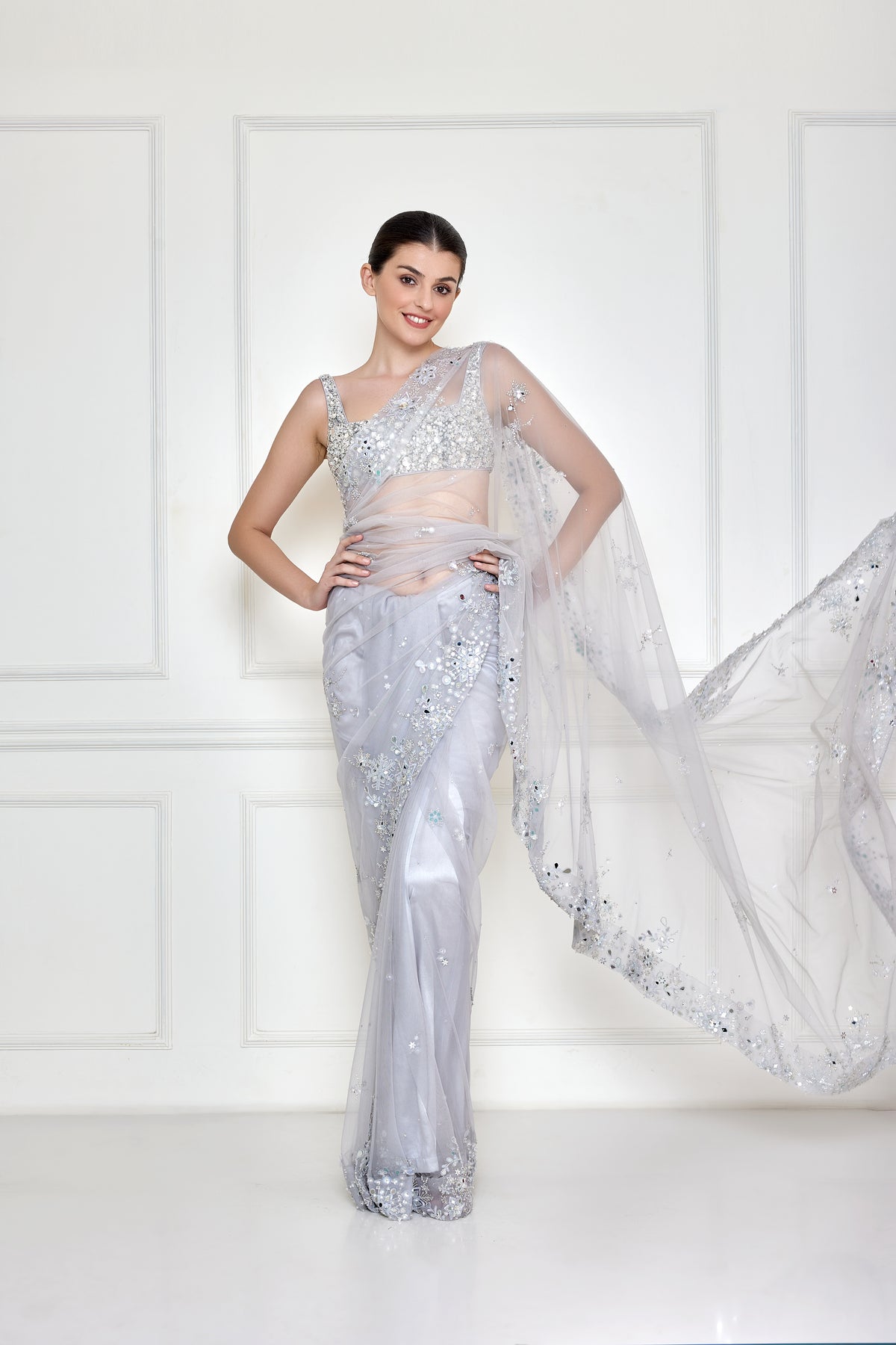 Ice grey mirror border net sari