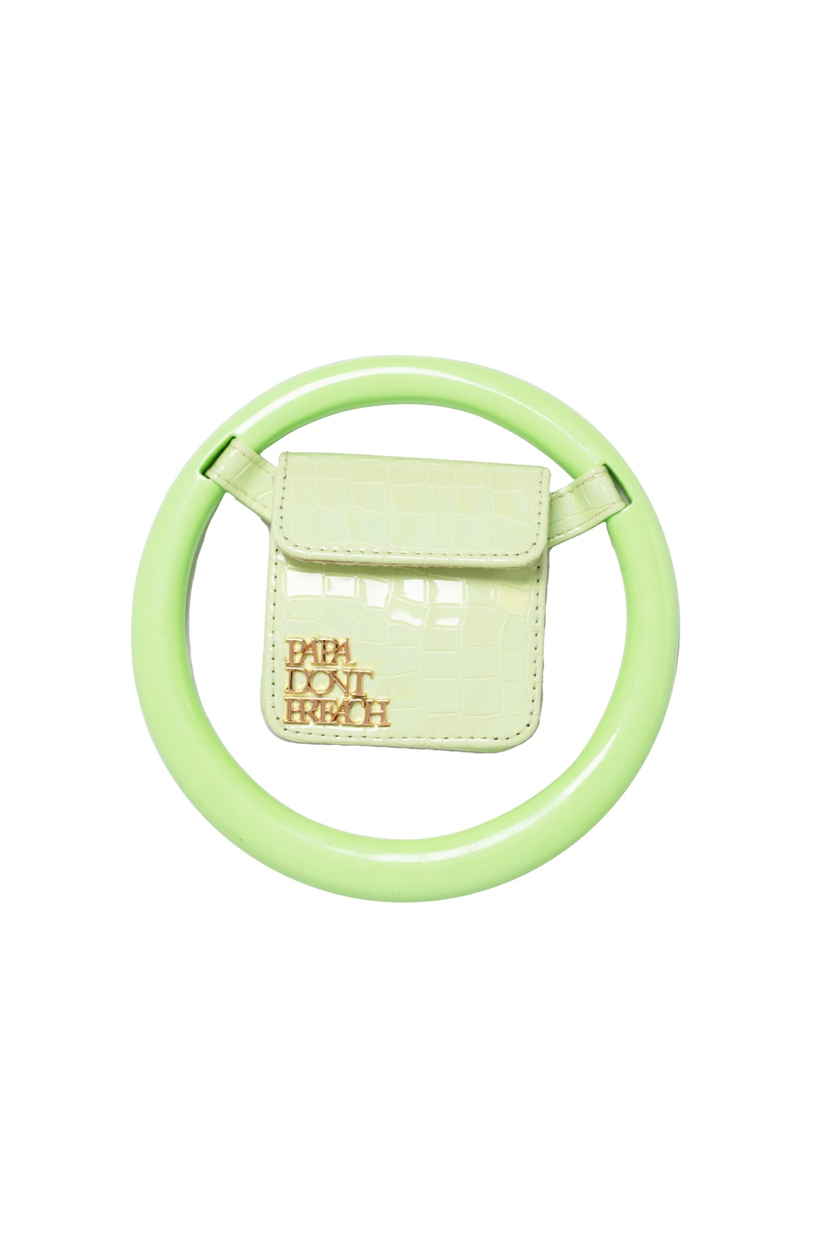 Pistachio Green Spidey Bag