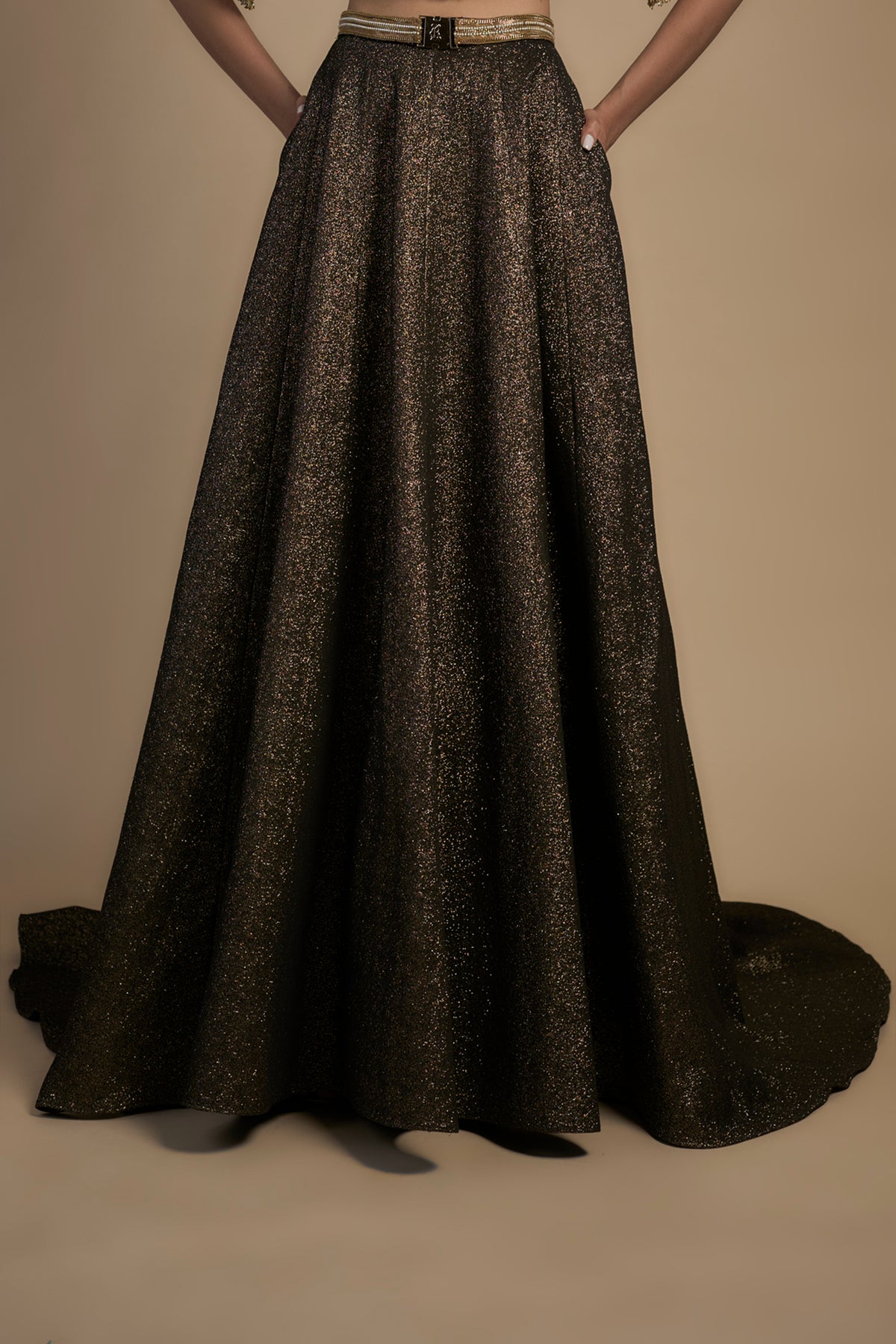 Gold and Black Lehenga Set