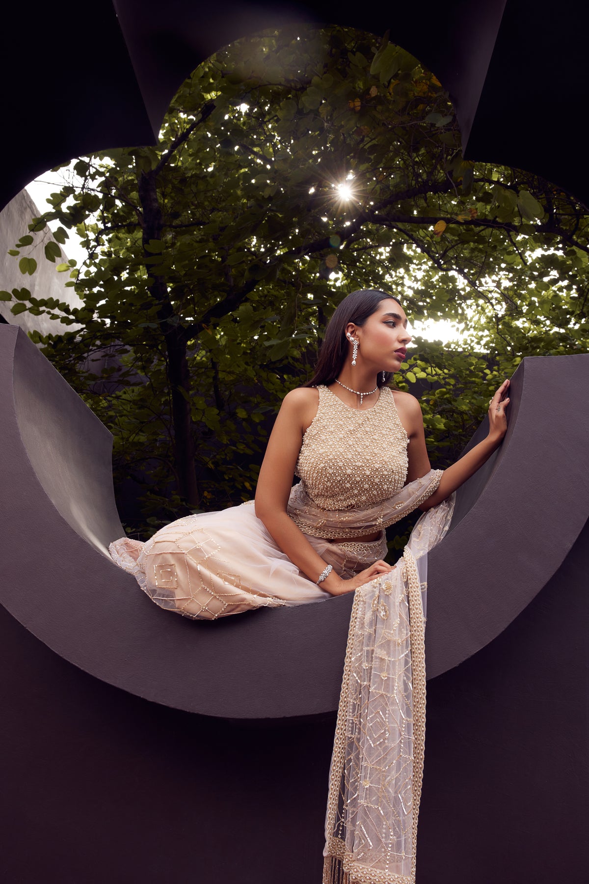 Beige Net Embroidered Saree