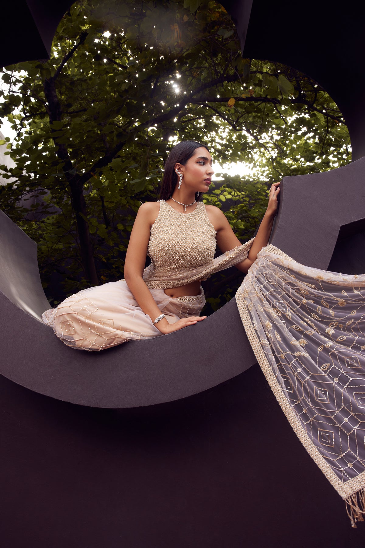 Beige Net Embroidered Saree
