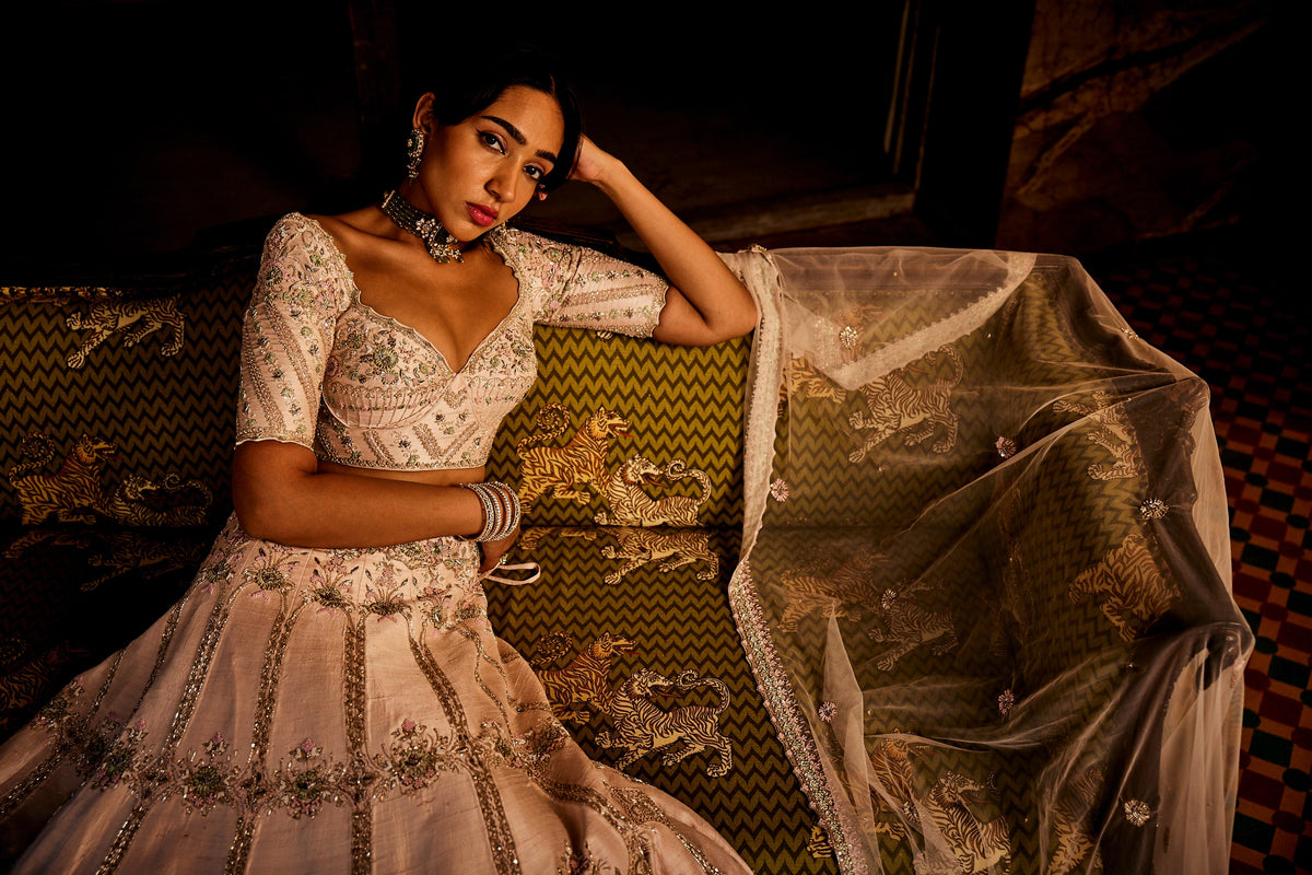 Heavenly Pink Lehenga Set