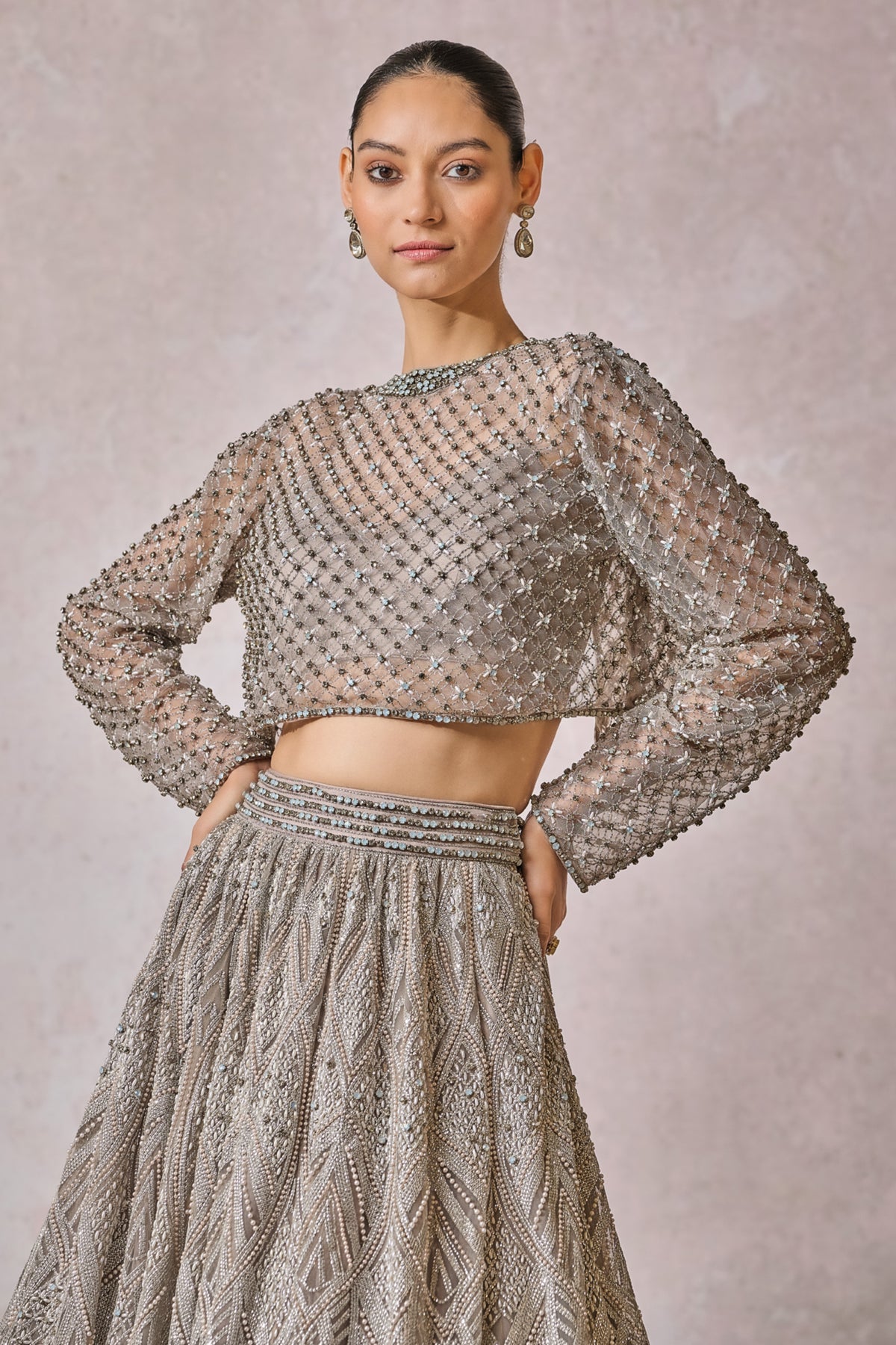 Silver  Panelled Lehenga Set
