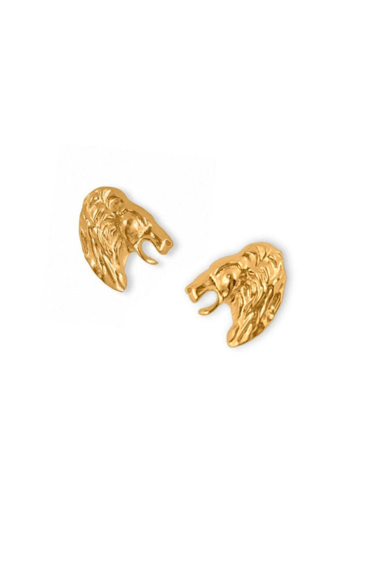 Leo Studs
