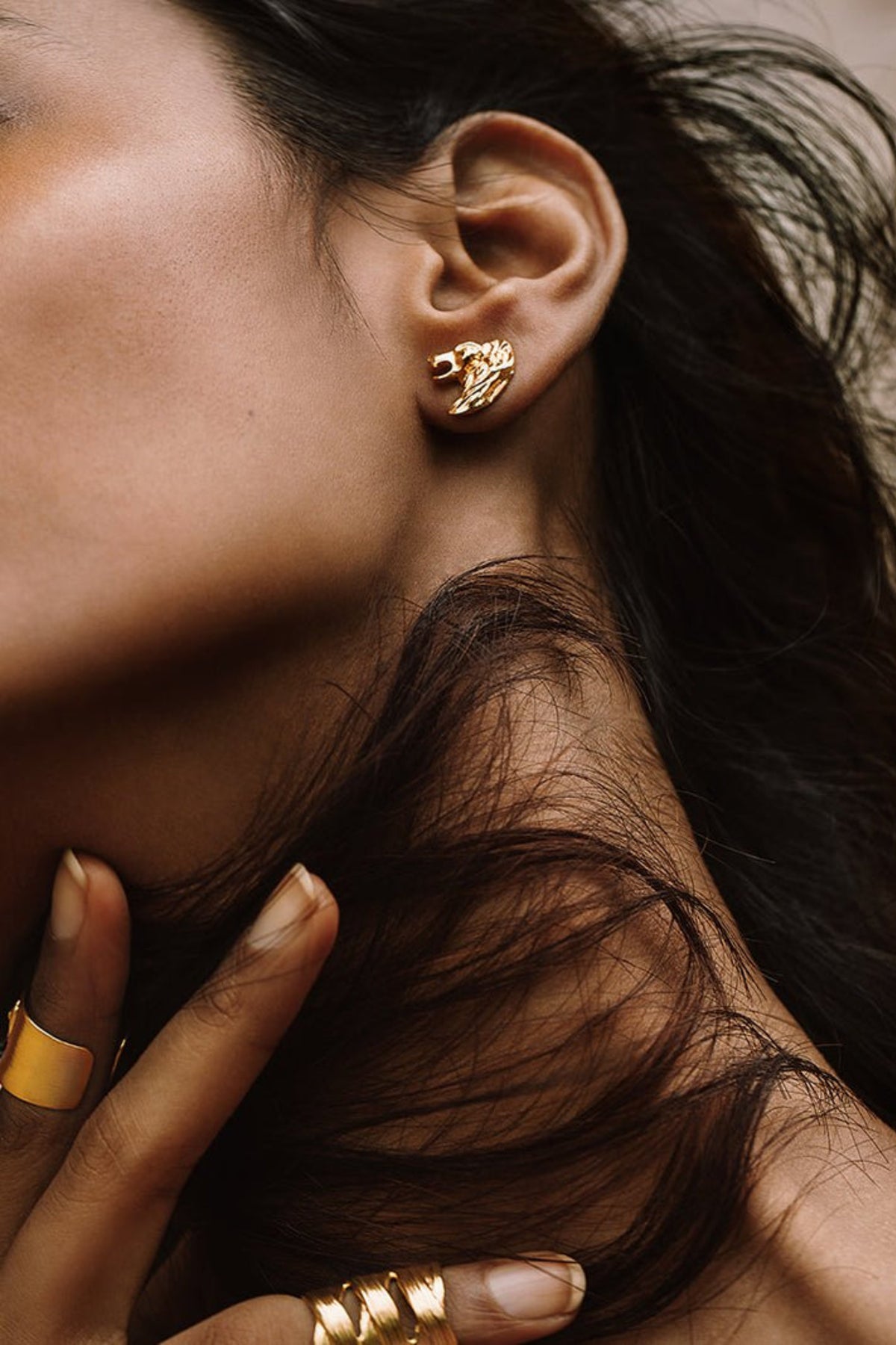 Leo Studs