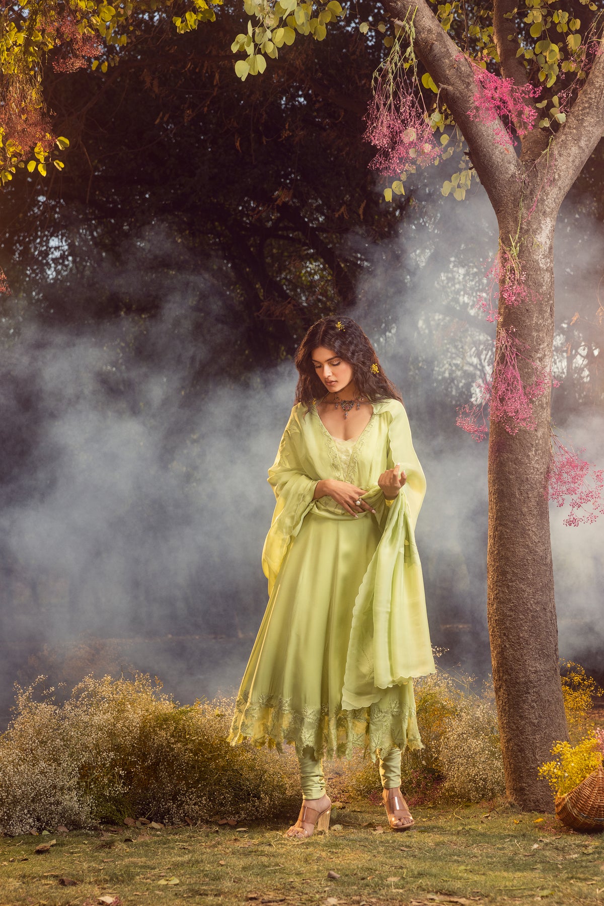 Soft Green Anarkali Set