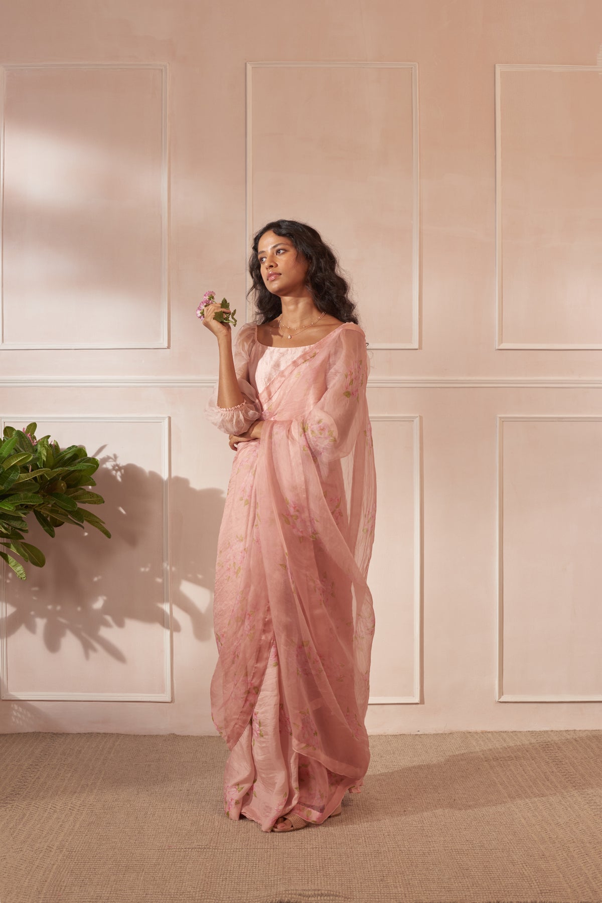 Mulberry silk &amp; organza sari